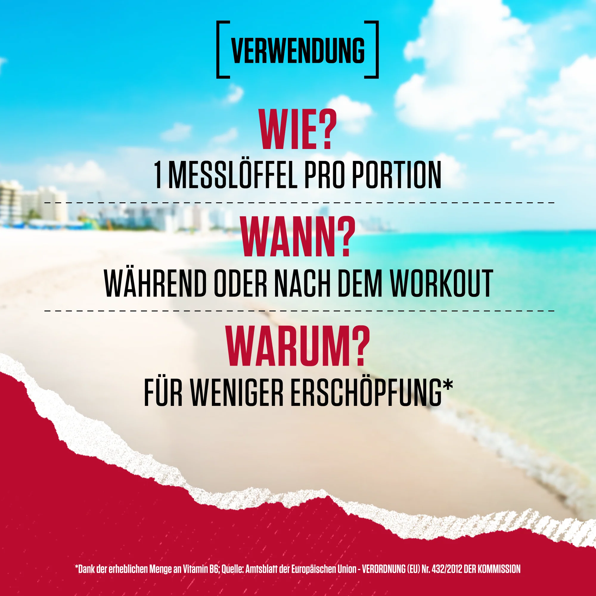 Amino X Aminosäuren BCAA (1000g) - Image 20
