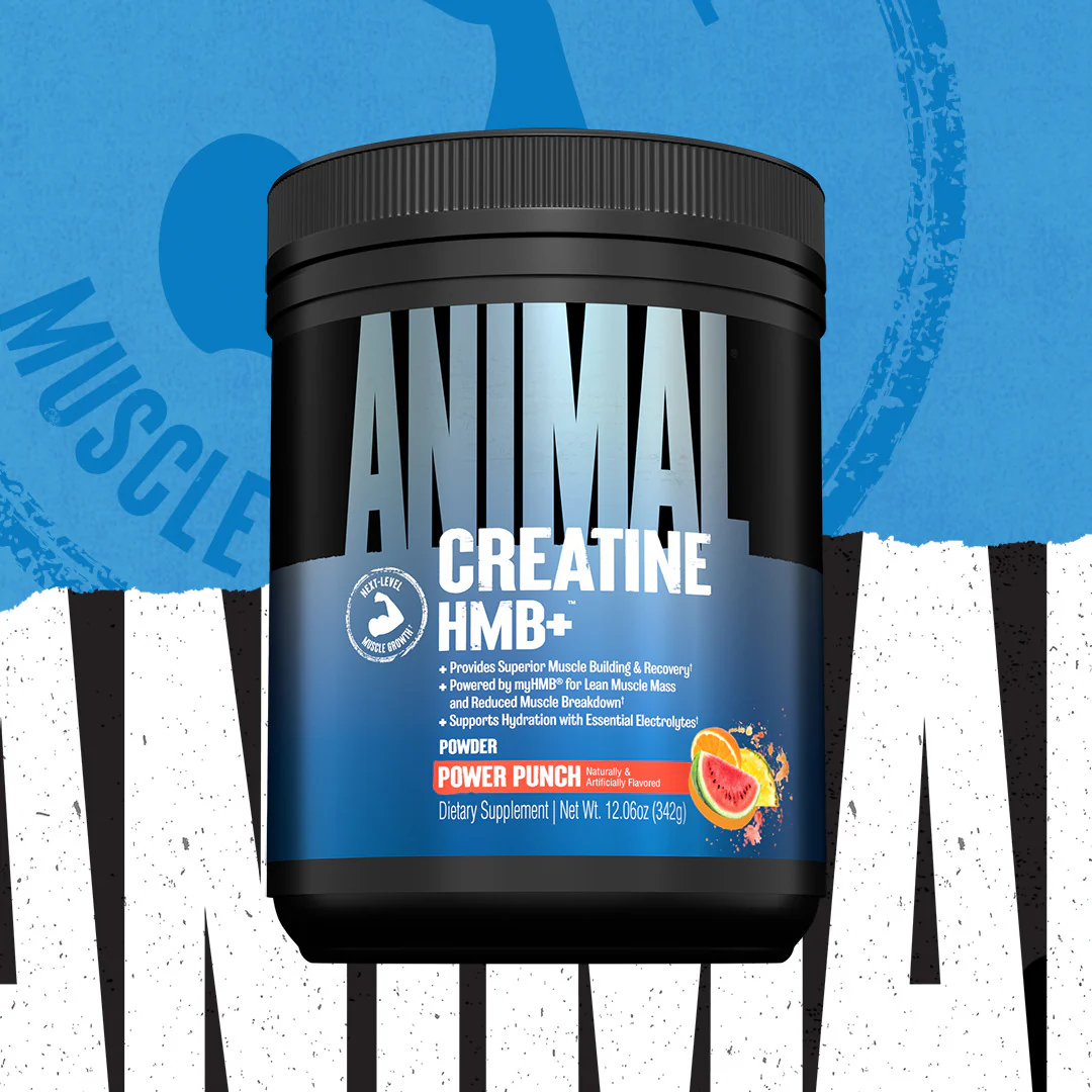 Animal Creatine HMB+ (330g) - Image 5