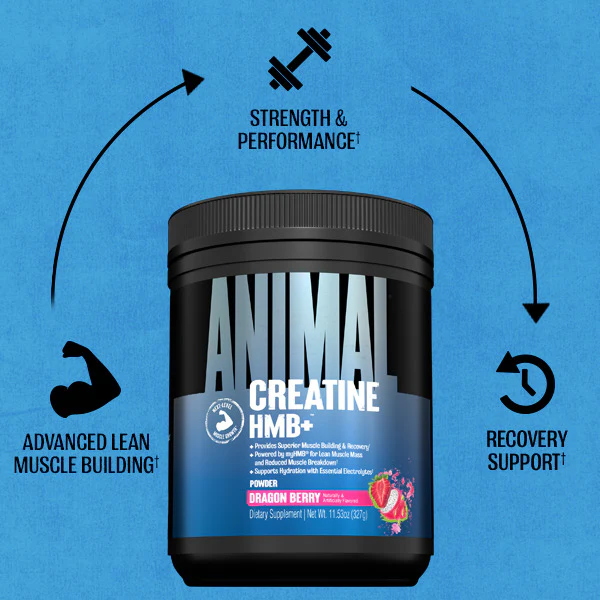 Animal Creatine HMB+ (330g) - Image 7