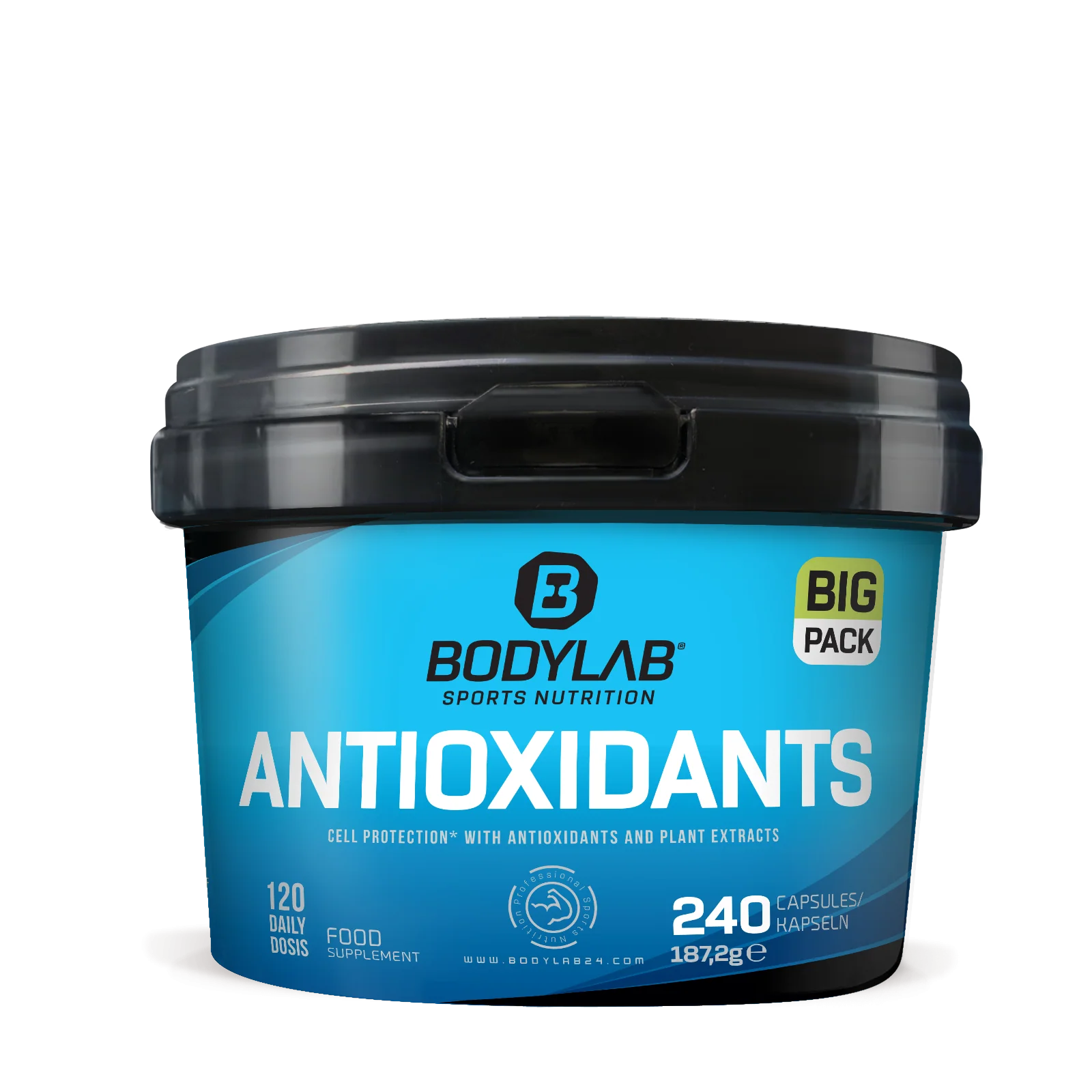 BIG Pack Antioxidants (240 Kapseln)