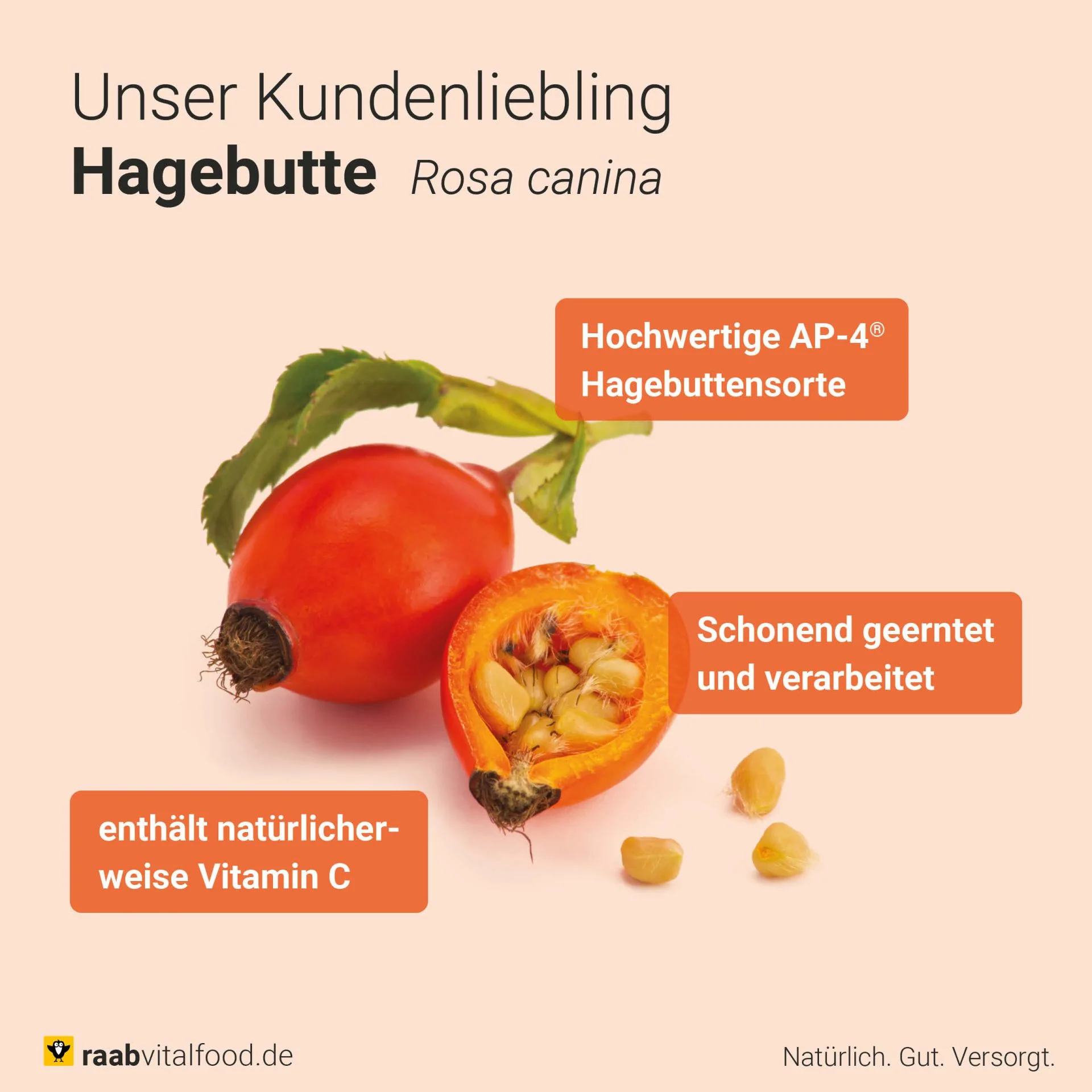 Hagebutte bio (150 Kapseln) - Image 6