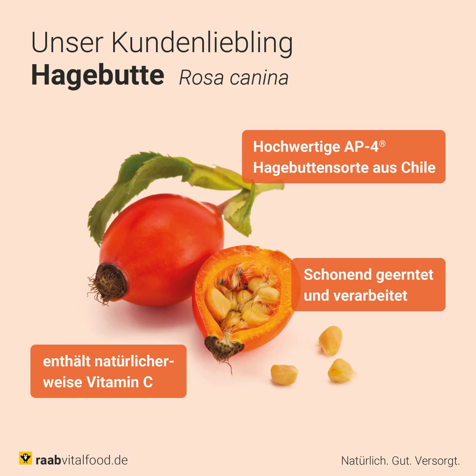 Bio Hagebutten Pulver (500g) - Image 5
