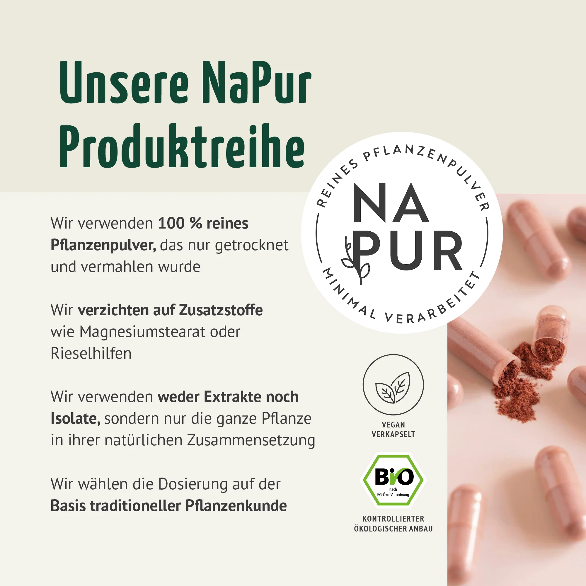 Bio Hagebutten Kapseln Nachfüllpack (400 Kapseln) - Image 2