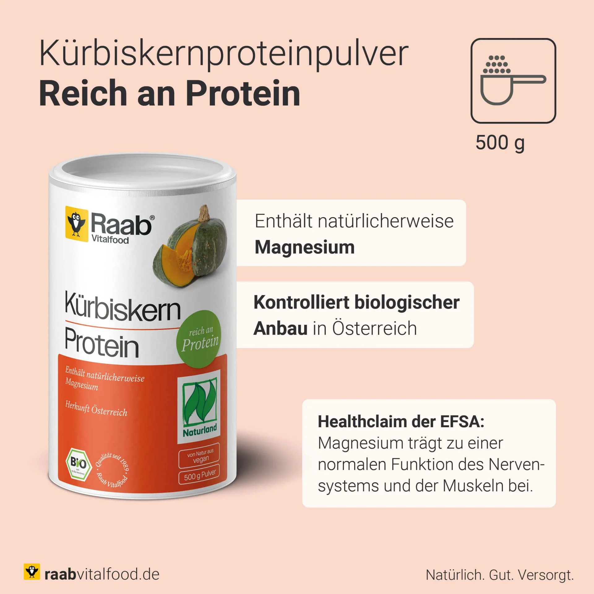 Bio Kürbiskern Protein (500g) - Image 3