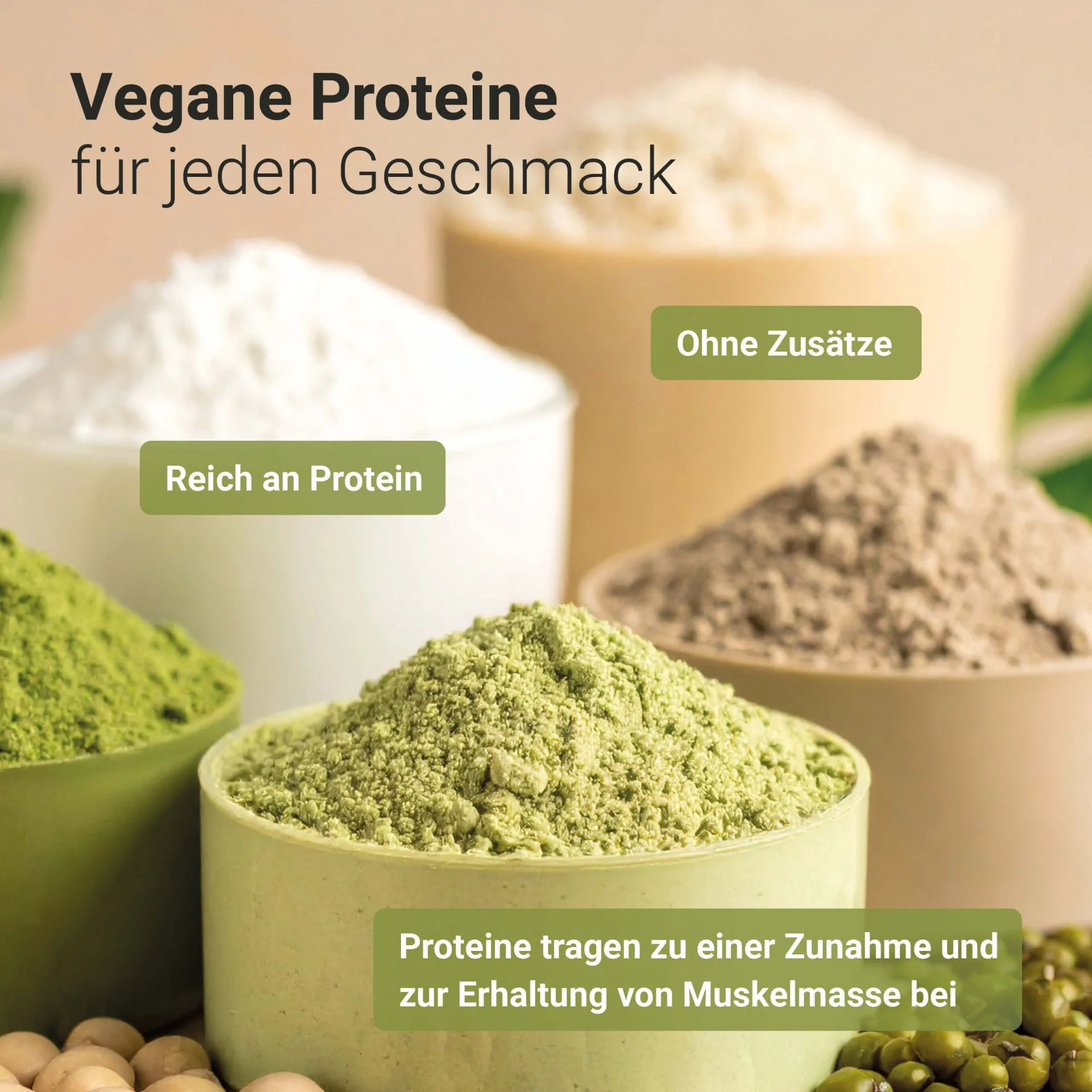 Bio Protein Shake Pure (500g) - Image 5