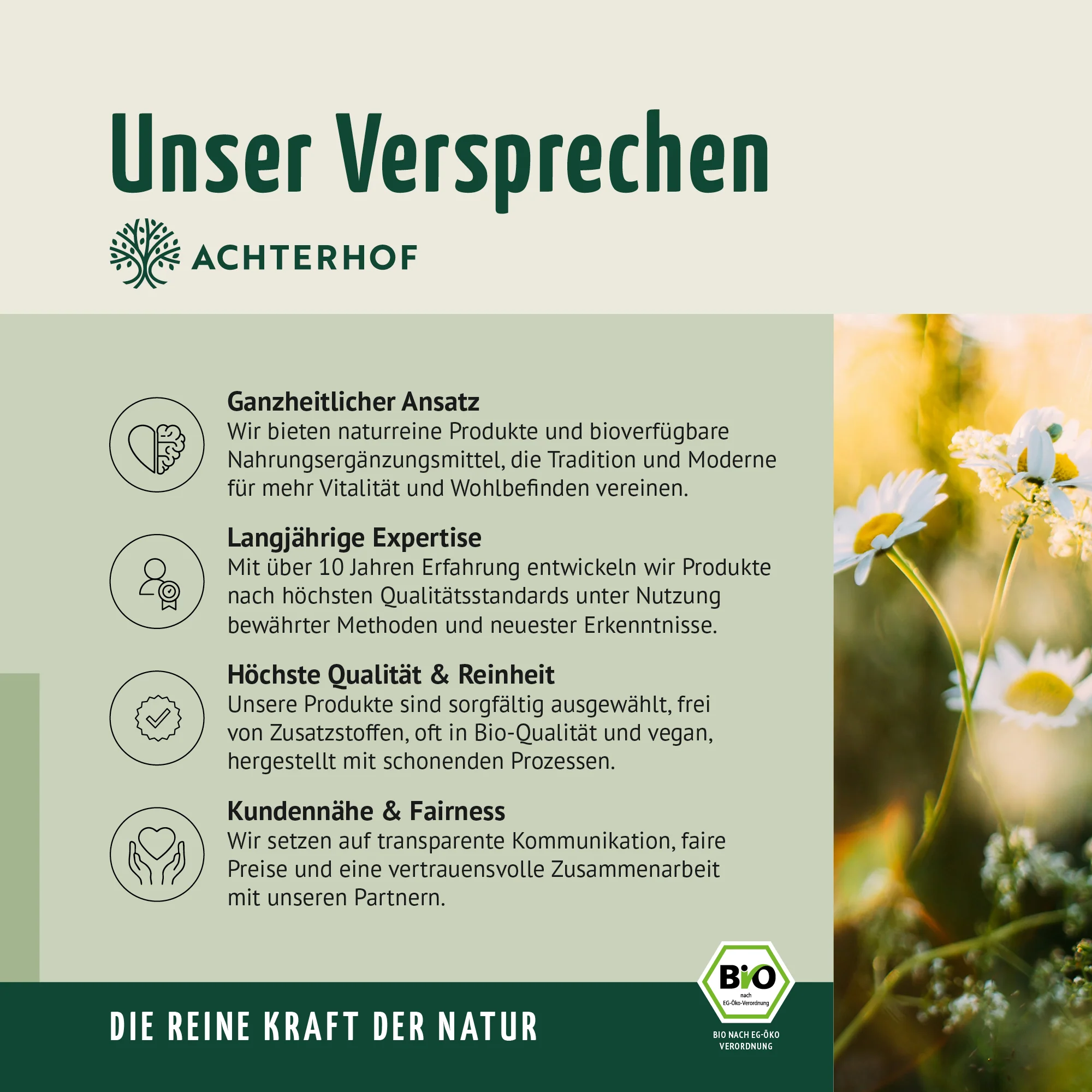 Bio Schwarzkümmel-Öl Kapseln (400 Kapseln) - Image 10