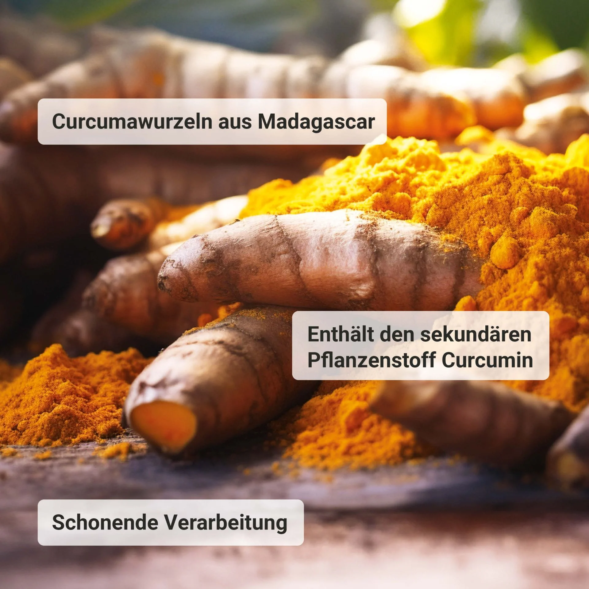Bio Curcuma (300 Tabletten) - Image 5