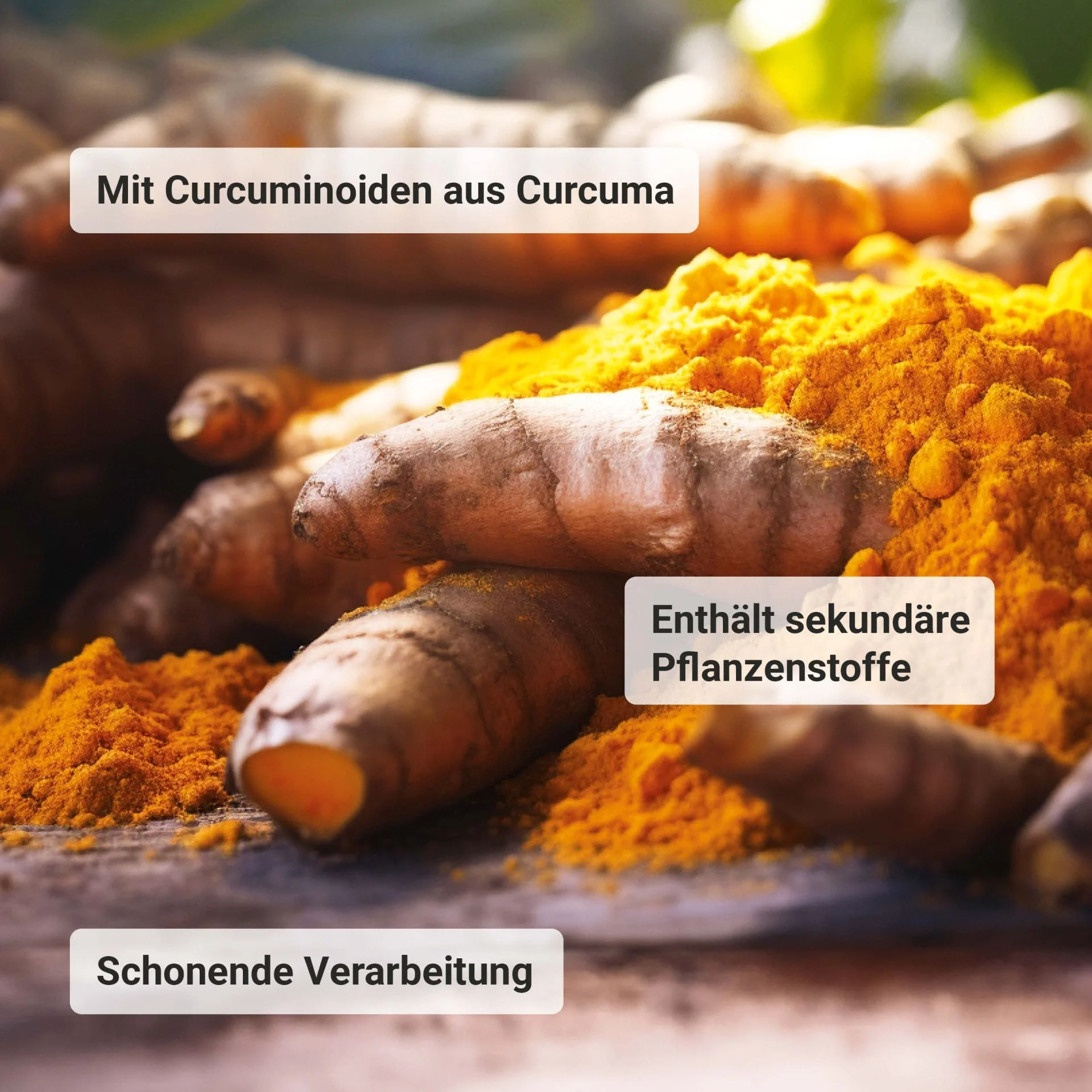 Curcuma Extrakt bio (90 Kapseln) - Image 4
