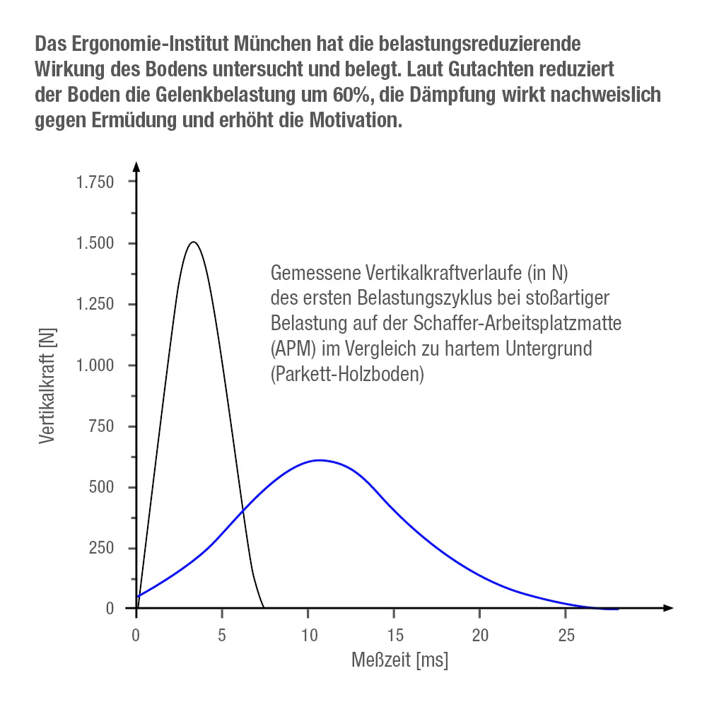 Functional Training Bodenmatte Grün + Übungs-Video "Training mit dem Funktionalem Boden" - Image 3
