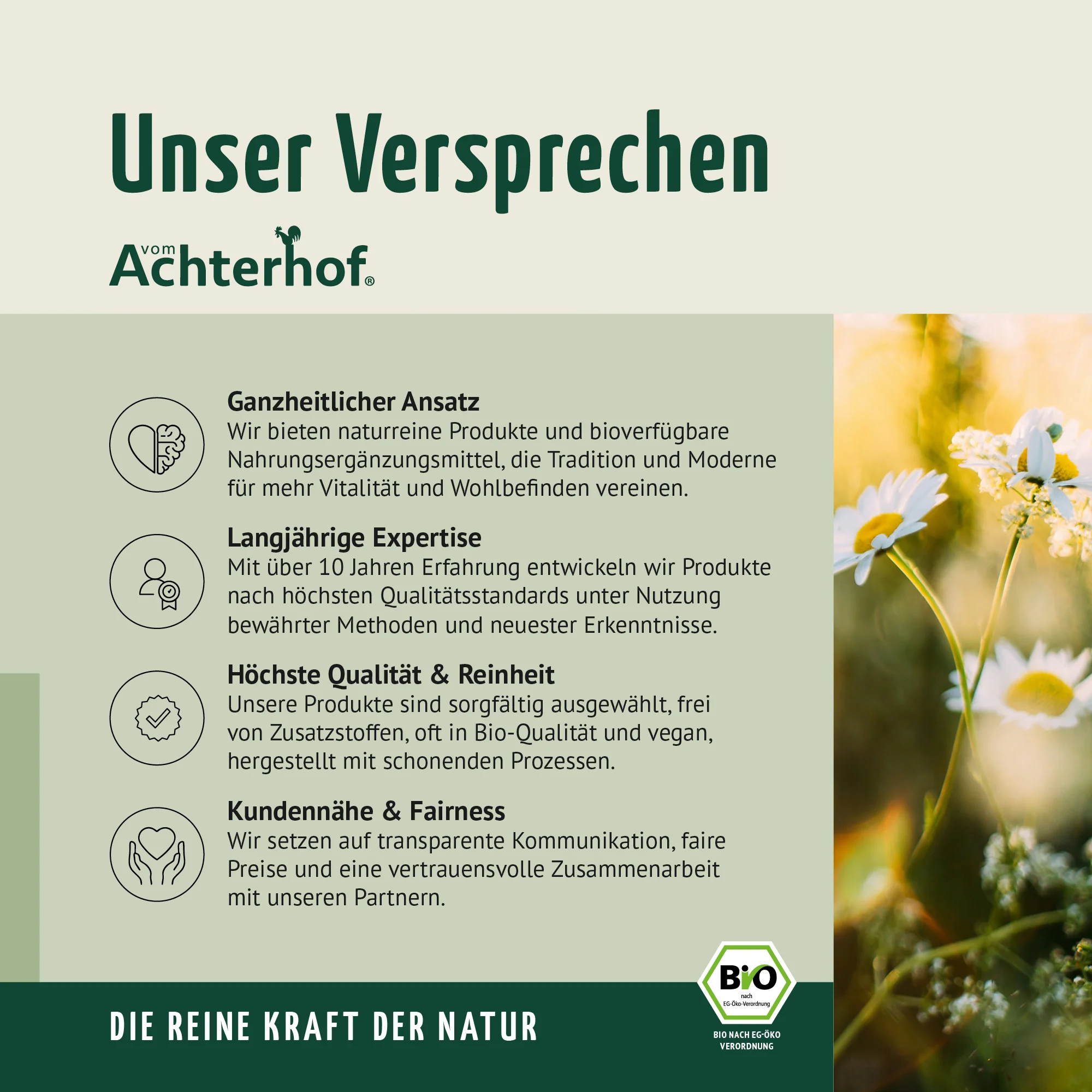 Bio Gerstengras Pulver (500g) - Image 12